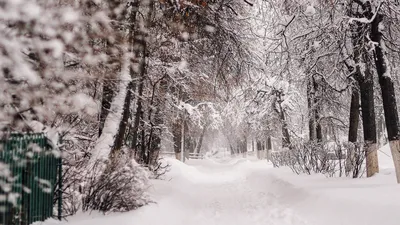 , фото - Новости Zakon.kz от 19.01.2026 16:37