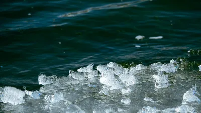 , фото - Новости Zakon.kz от 20.01.2026 10:58