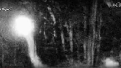 Таинственный свет, лес, фото - Новости Zakon.kz от 20.01.2026 03:30
