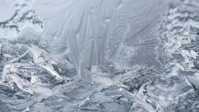 , фото - Новости Zakon.kz от 19.01.2026 14:51