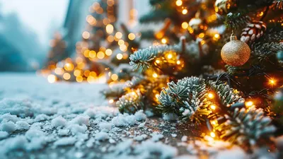 , фото - Новости Zakon.kz от 20.01.2026 10:02