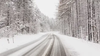 штормовое предупреждение, фото - Новости Zakon.kz от 20.01.2026 20:27