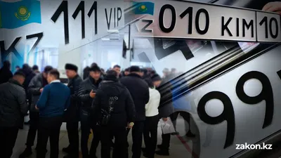 Охота за красивыми номерами: за две недели спецЦОНы приняли свыше 123 тысяч заявок