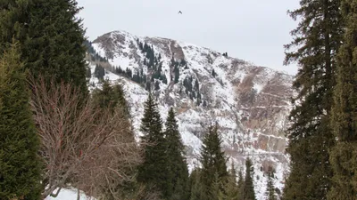 Горы, гора, горная местность, горный туризм, туристы в горах, Медео, Медеу, высокогорное урочище, горы, высокогорный спортивный комплекс, сурет - Zakon.kz жаңалық 14.02.2026 15:45