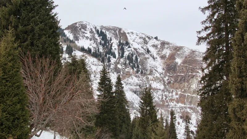 Алматы тауларында құлап, жамбасын сындырған турист 2000 метр биіктіктен эвакуацияланды