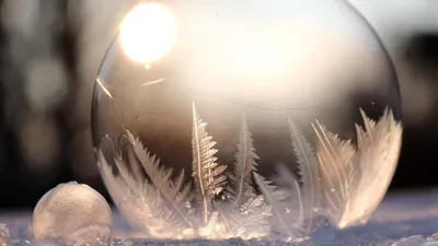 мороз, фото - Новости Zakon.kz от 20.01.2026 17:24