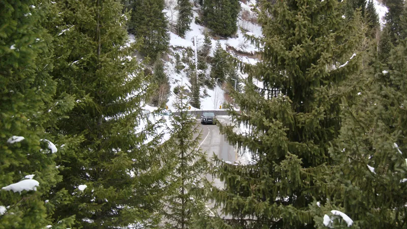 Ресейдің Хабаровск өлкесінде туристер тобы із-түзсіз жоғалды