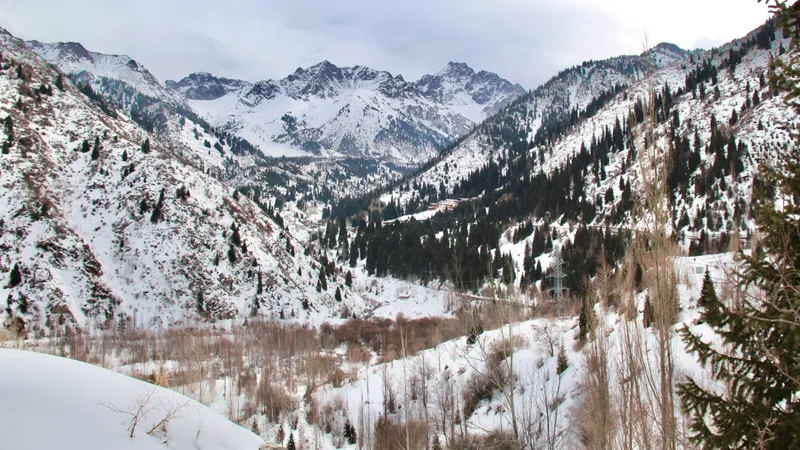 Пытался прорваться через блокпост: вооруженного мужчину задержали в горах Алматы