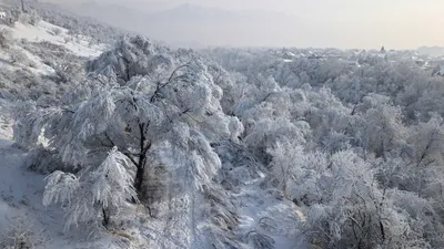 Снег, снегопад, зима, холод, мороз, заморозки, фото - Новости Zakon.kz от 12.03.2026 16:31