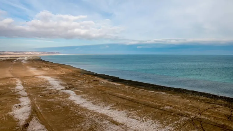 Новые поручения по сохранению Аральского моря дал Бектенов