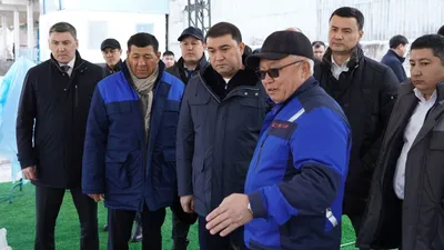 В Туркестанской области модернизирован и запущен современный завод по переработке пшеницы