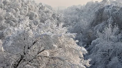 Снег, снегопад, зима, холод, мороз, заморозки, сурет - Zakon.kz жаңалық 26.01.2026 10:12