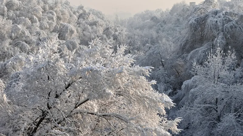 Суға бату қаупі бар: құтқарушылар Алматы тұрғындарына ескерту жасады