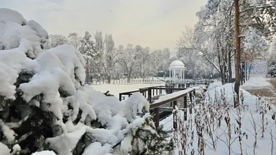 Терренкур, парк в Алматы, зима, снег, фото - Новости Zakon.kz от 25.02.2026 18:01