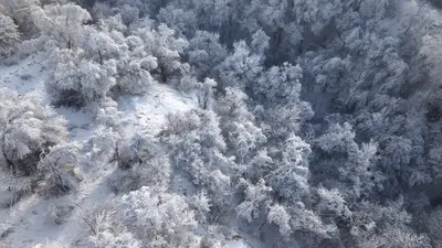 Снег, снегопад, зима, холод, мороз, заморозки, фото - Новости Zakon.kz от 23.02.2026 14:06