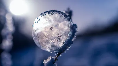 , фото - Новости Zakon.kz от 21.01.2026 14:21