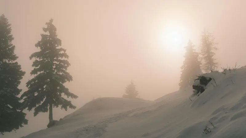 Погодный микс на 22 января: снег, ветер и туманы почти по всему Казахстану