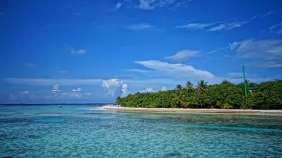 остров, фото - Новости Zakon.kz от 21.01.2026 14:18