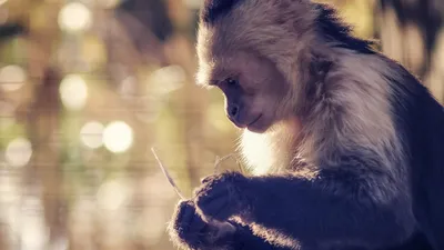 Гороскоп на 23 января, фото - Новости Zakon.kz от 23.01.2026 07:55