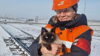 помощь спасателей, фото - Новости Zakon.kz от 22.01.2026 18:33