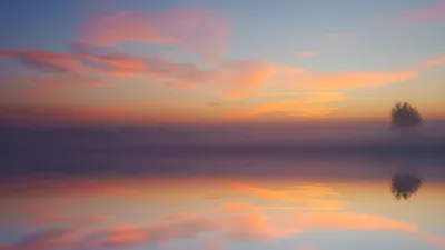 закат, дерево, фото - Новости Zakon.kz от 22.01.2026 16:53