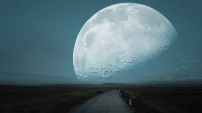 пейзаж с луной, фото - Новости Zakon.kz от 22.01.2026 18:09