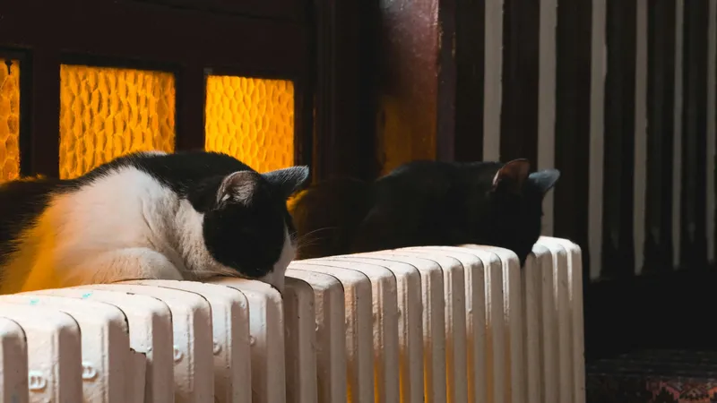 Погода в доме: что делать, если в квартире холодно