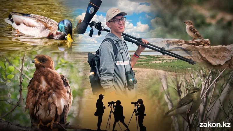 Воробей против фламинго: как бердвотчер из Костаная помогает науке