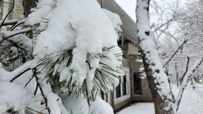 Снег и мороз в Алматы сохранятся до конца января