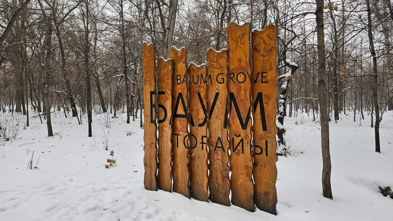 Как выглядит роща Баума в Алматы зимой – фоторепортаж