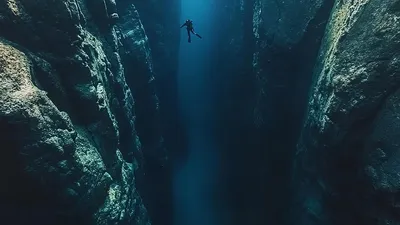 Вода, дно, дайвер, фото - Новости Zakon.kz от 24.01.2026 06:40