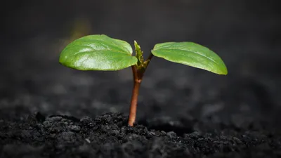 Земля, ученые, исследование, наука, жизнь, фото - Новости Zakon.kz от 26.01.2026 00:34