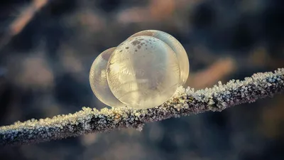 мороз, фото - Новости Zakon.kz от 26.01.2026 17:12