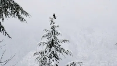 штормовое предупреждение, фото - Новости Zakon.kz от 26.01.2026 19:38