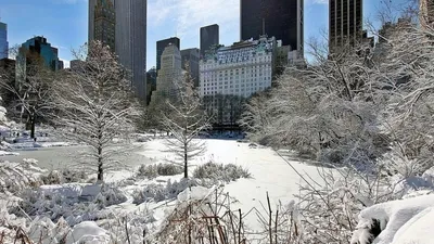 несколько человек погибли во время зимнего шторма в США, фото - Новости Zakon.kz от 27.01.2026 01:24