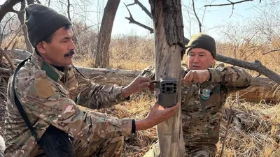 Парк Чарын, фото - Новости Zakon.kz от 27.01.2026 05:05