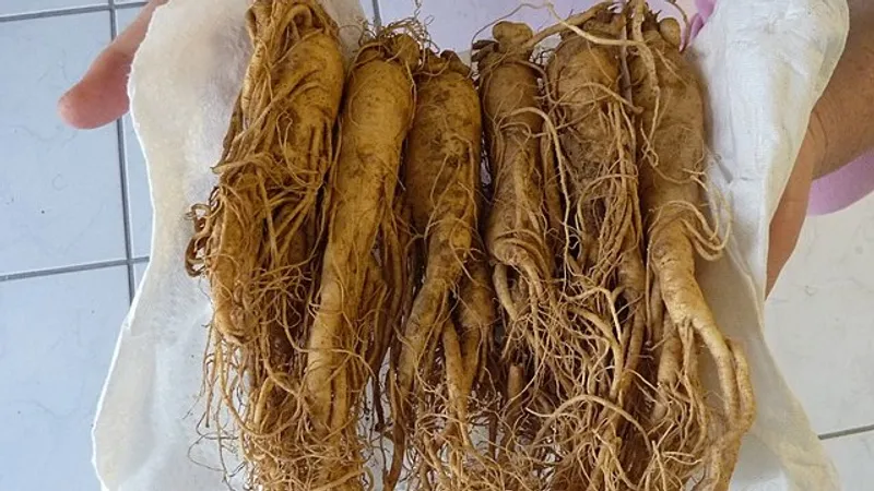 Найдено природное средство от выпадения волос