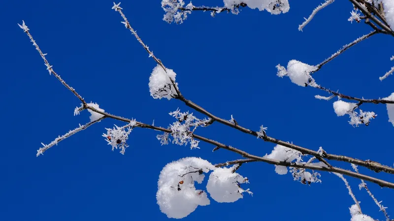 Холод до -27°С, 3-градусное тепло и сильные осадки: что ждет Астану, Алматы и Шымкент в конце января