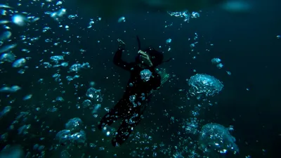 Дайвер, океан, кислород, погружение, фото - Новости Zakon.kz от 28.01.2026 04:59