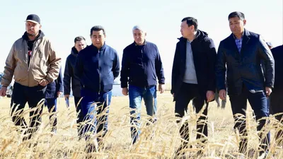 сельское хозяйство, фото - Новости Zakon.kz от 29.01.2026 17:01