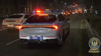 видео насторожило алматинцев, фото - Новости Zakon.kz от 28.01.2026 22:58