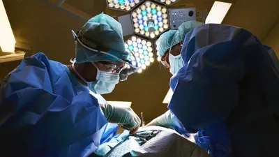 донорство набирает обороты, фото - Новости Zakon.kz от 28.01.2026 18:53