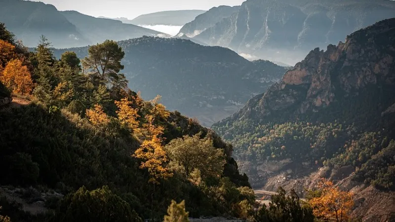 В Мьянме артисты театра погибли при падении автобуса в ущелье