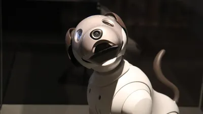 собака-робот, технологии, фото - Новости Zakon.kz от 28.01.2026 12:28