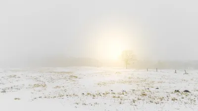 штормовое предупреждение объявили в Казахстане, фото - Новости Zakon.kz от 28.01.2026 20:03