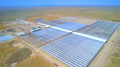 Крупнейший в стране промышленный тепличный комплекс, фото - Новости Zakon.kz от 29.01.2026 11:13