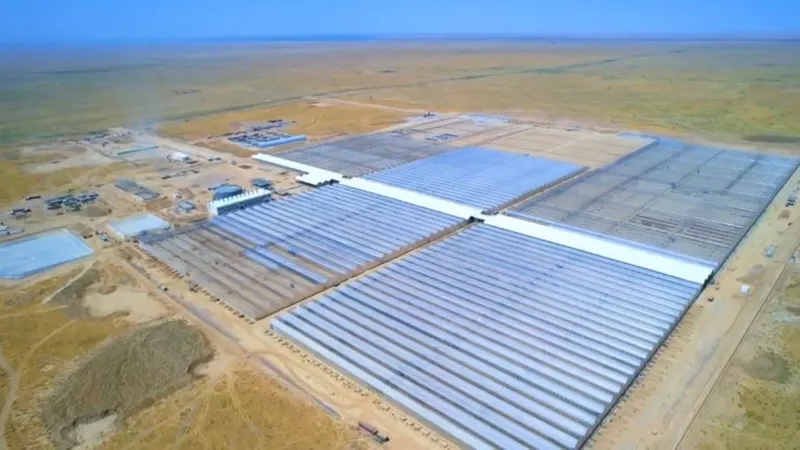 В Туркестанской области запустят крупнейший в стране промышленный тепличный комплекс