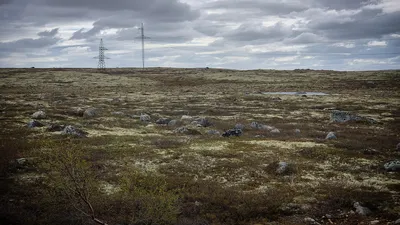 использование земель, фото - Новости Zakon.kz от 29.01.2026 22:00