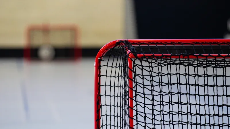 Хоккейный корт в Павлодаре незаконно передали частникам, а коммунальные расходы платил бюджет