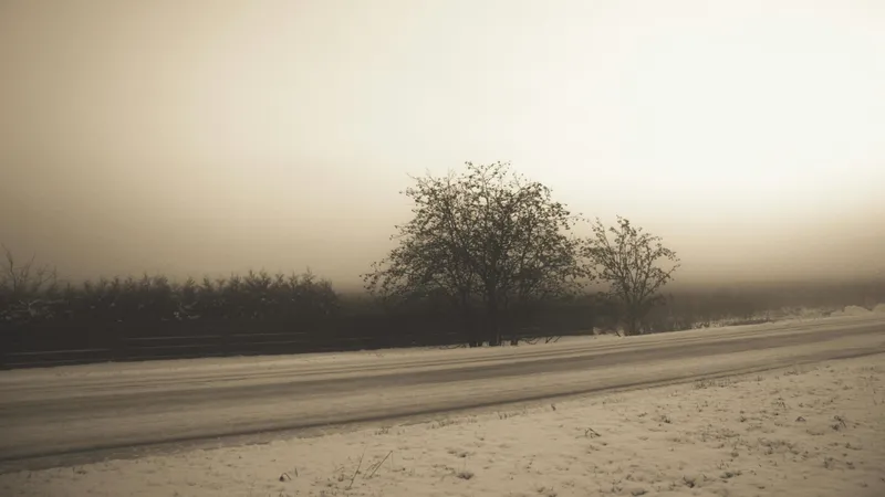 Алматы накроет туман, Шымкент – дожди, Астану – снег: прогноз на первые дни февраля